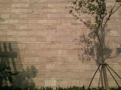 小區蘑菇石墻（三）